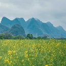 遇龙河风景区 - 桂林市旅游 缩略图 3