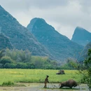 遇龙河风景区 - 桂林市旅游 缩略图 2