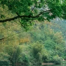 遇龙河风景区 - 桂林市旅游 缩略图 5