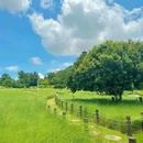 红花山公园 - 深圳市旅游 缩略图 1