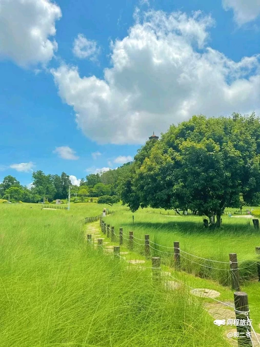 红花山公园 - 深圳市旅游