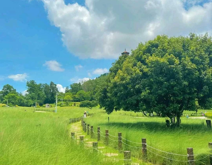 红花山公园 - 深圳市旅游 1