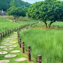 红花山公园 - 深圳市旅游 缩略图 2