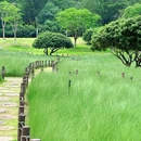 红花山公园 - 深圳市旅游 缩略图 4