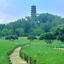 红花山公园 - 深圳市旅游 缩略图 5