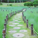 红花山公园 - 深圳市旅游 缩略图 9
