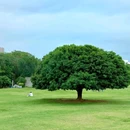 红花山公园 - 深圳市旅游 缩略图 7