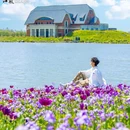 盐城大洋湾生态旅游景区 - 盐城市旅游 缩略图 2