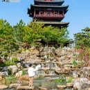 盐城大洋湾生态旅游景区 - 盐城市旅游 缩略图 7