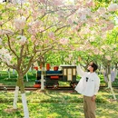 盐城大洋湾生态旅游景区 - 盐城市旅游 缩略图 9