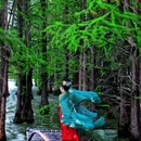 尚湖风景区游客中心 - 苏州市旅游 缩略图 3