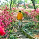 铜陵永泉小镇 - 铜陵市旅游 缩略图 5