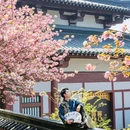 影视基地-三国水浒城 - 无锡市旅游 缩略图 5