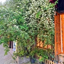 山塘街 - 苏州市旅游 缩略图 3