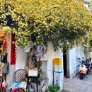 山塘街 - 苏州市旅游 缩略图 5