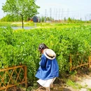 山塘街 - 苏州市旅游 缩略图 6