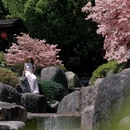 下渚湖·奇幻谷 - 湖州市旅游 缩略图 3