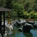 下渚湖·奇幻谷 - 湖州市旅游 缩略图 4