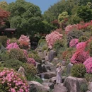 下渚湖·奇幻谷 - 湖州市旅游 缩略图 7
