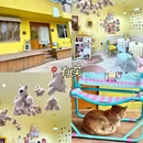 丽园巷 - 银川市旅游 缩略图 3