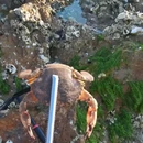 途远度假公寓(威海国际海水浴场火炬八街店) - 威海市旅游 缩略图 5