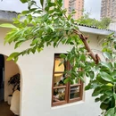 奈诺甜品·生日蛋糕(古城店) - 漳州市旅游 缩略图 7