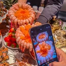 铭门盛宴·海鲜艺术姿造(上海首店) - 上海市旅游 缩略图 1