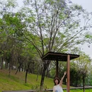 天河大观湿地公园-亲水平台 - 广州市旅游 缩略图 8