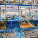 隆昌和 - 深圳市旅游 缩略图 8