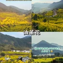 婺源站 - 上饶市旅游 缩略图 6