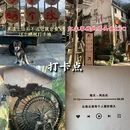 婺源站 - 上饶市旅游 缩略图 7