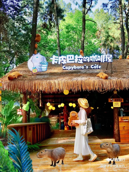 卡皮巴拉咖啡屋 - 南充市旅游