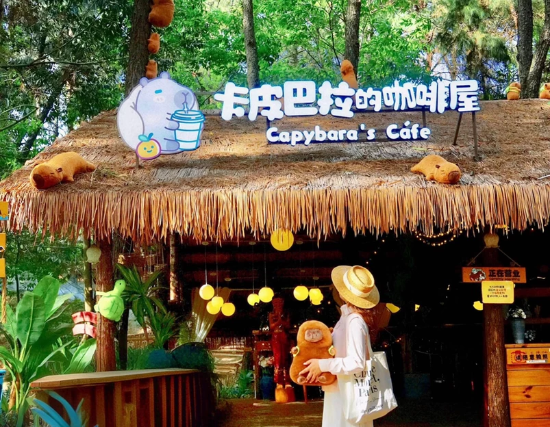 卡皮巴拉咖啡屋 - 南充市旅游 1
