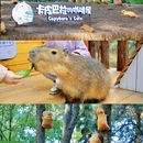 卡皮巴拉咖啡屋 - 南充市旅游 缩略图 2