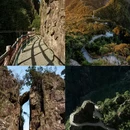 莽山五指峰景区 - 郴州市旅游 缩略图 3