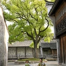 盐官潮乐之城国际旅游度假区 - 嘉兴市旅游 缩略图 5