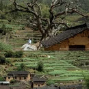 松阳树端逸院民宿 - 丽水市旅游 缩略图 3