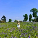 白鹭湾湿地公园 - 成都市旅游 缩略图 4
