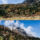 玉龙雪山国家级风景名胜区 - 丽江市旅游 缩略图 8