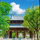 濮院时尚古镇 - 嘉兴市旅游 缩略图 7