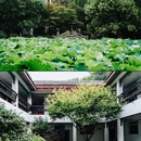 衣裳街 - 湖州市旅游 缩略图 7