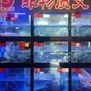 永久王鲶鱼·精品鱼鲜馆(新街里店) - 成都市旅游 缩略图 4