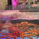 天天渔港·粤菜海鲜·早茶·宴请聚会(福田店) - 深圳市旅游 缩略图 8