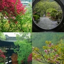 开化根宫佛国文化旅游区 - 衢州旅游 缩略图 4