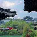 开化根宫佛国文化旅游区 - 衢州旅游 缩略图 6