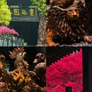 开化根宫佛国文化旅游区 - 衢州旅游 缩略图 9