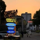 仙人掌の咖啡cactus coffee - 衡阳市旅游 缩略图 9