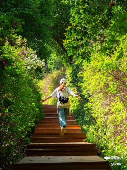 东湖磨山景区 - 武汉市旅游