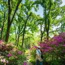东湖磨山景区 - 武汉市旅游 缩略图 2