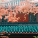爱晚亭 - 长沙市旅游 缩略图 4